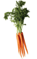 vegetables & carrot free transparent png image.