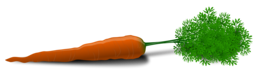 vegetables & carrot free transparent png image.