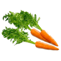 vegetables & Carrot free transparent png image.