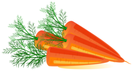 vegetables & Carrot free transparent png image.