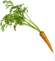 vegetables & Carrot free transparent png image.