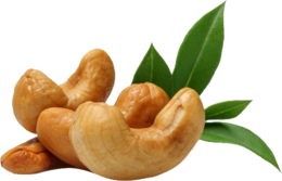 fruits & cashew free transparent png image.