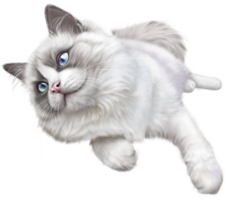 animals & cats free transparent png image.