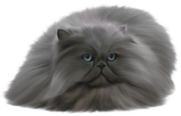 animals & cats free transparent png image.