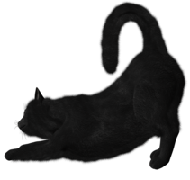 animals & cats free transparent png image.