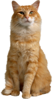 animals & cats free transparent png image.