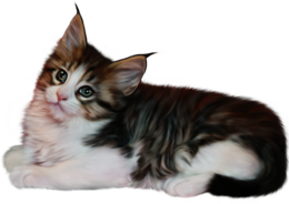 animals & Cats free transparent png image.