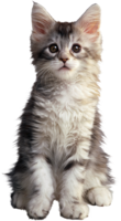 animals & cats free transparent png image.