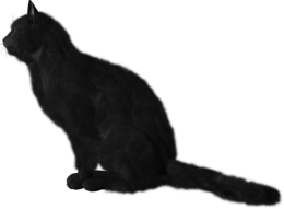 animals & cats free transparent png image.