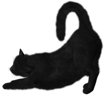 animals & cats free transparent png image.