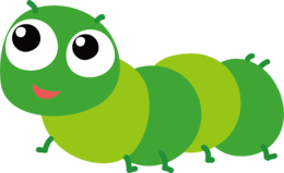 insects & Caterpillar free transparent png image.