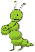 insects & caterpillar free transparent png image.