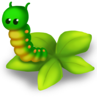 insects & caterpillar free transparent png image.