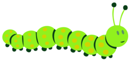 insects & Caterpillar free transparent png image.