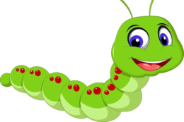 insects & caterpillar free transparent png image.