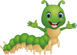 insects & caterpillar free transparent png image.