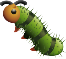 insects & caterpillar free transparent png image.