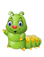 insects & caterpillar free transparent png image.