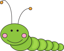 insects & Caterpillar free transparent png image.