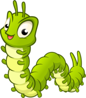 insects & caterpillar free transparent png image.