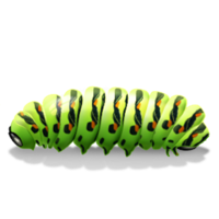 insects & Caterpillar free transparent png image.