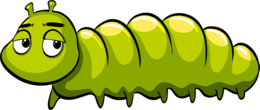 insects & Caterpillar free transparent png image.