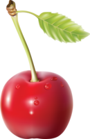 fruits & cherry free transparent png image.