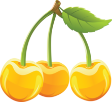 fruits & cherry free transparent png image.