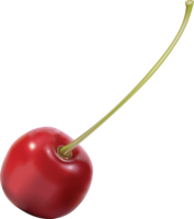 fruits & cherry free transparent png image.