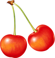 fruits & cherry free transparent png image.