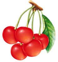 fruits & Cherry free transparent png image.