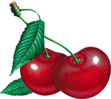 fruits & Cherry free transparent png image.