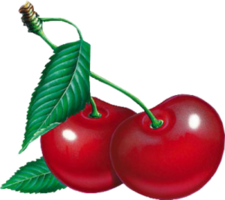 fruits & cherry free transparent png image.