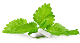 food & Chewing gum free transparent png image.