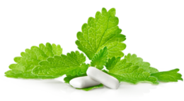 food & chewing gum free transparent png image.