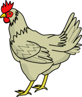 animals & chicken free transparent png image.