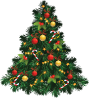 holidays & christmas free transparent png image.