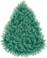 holidays & christmas free transparent png image.