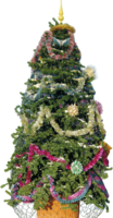 holidays & Christmas tree free transparent png image.