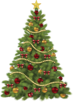 holidays & christmas tree free transparent png image.