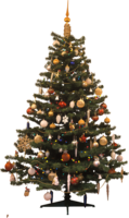 holidays & christmas tree free transparent png image.