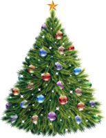 holidays & Christmas tree free transparent png image.