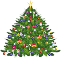 holidays & christmas tree free transparent png image.