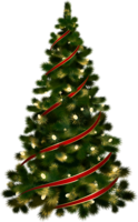 holidays & christmas tree free transparent png image.