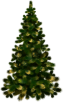 holidays & christmas tree free transparent png image.