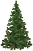 holidays & christmas tree free transparent png image.