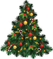 holidays & Christmas tree free transparent png image.