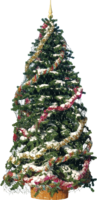 holidays & Christmas tree free transparent png image.