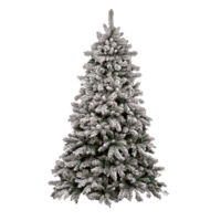 holidays & Christmas tree free transparent png image.