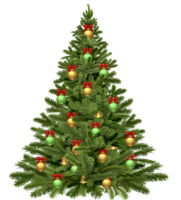 holidays & christmas tree free transparent png image.